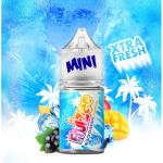 BLACKCURRANT MANGO 10+20 FRUIZEE